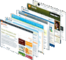 Experto en Tecnolog�as de Internet