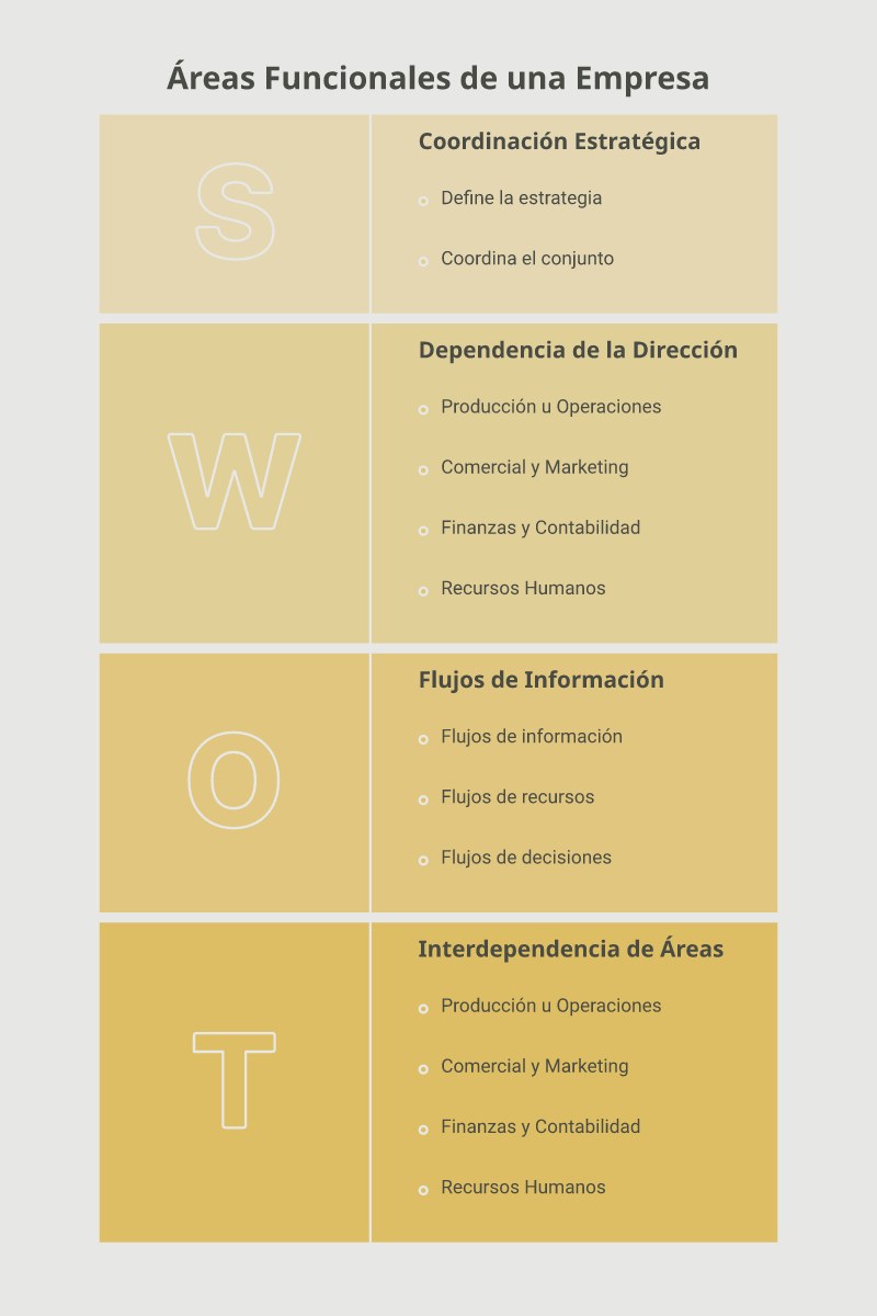 Infografía que muestra el flujo entre las áreas funcionales: Dirección General define la estrategia, que se ejecuta a través de Producción, Comercial, Finanzas y Recursos Humanos