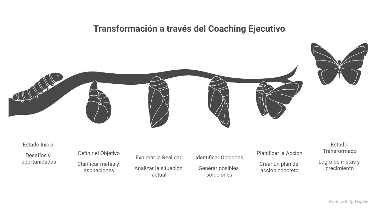 Infografía: proceso completo de coaching ejecutivo, modelo GROW y diferencias con mentoring y consultoría