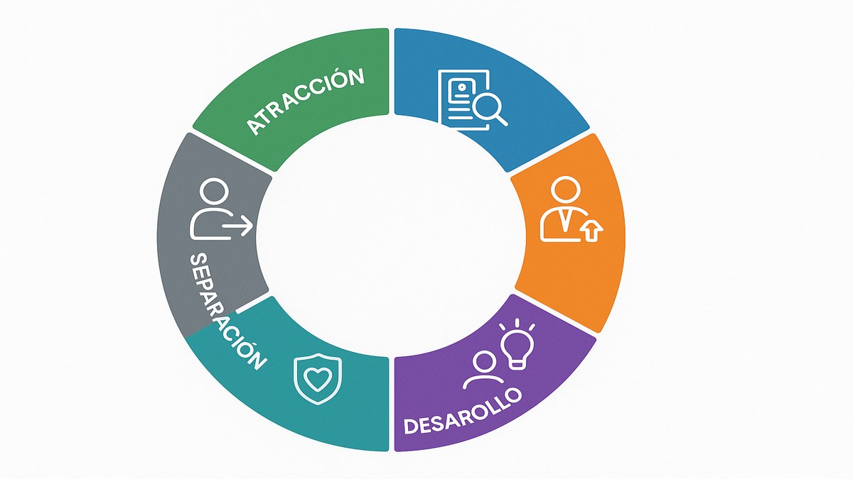 Ciclo de vida del empleado: atracción, selección, onboarding, desarrollo, retención y separación como diagrama circular